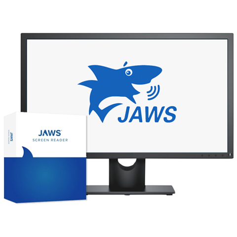 Jaws for Windows